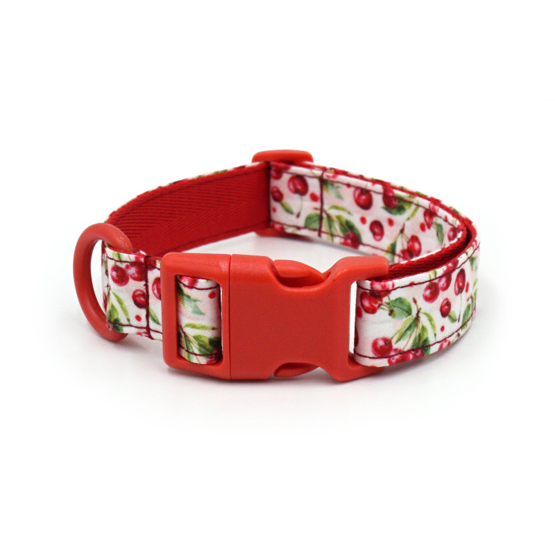 dog collar