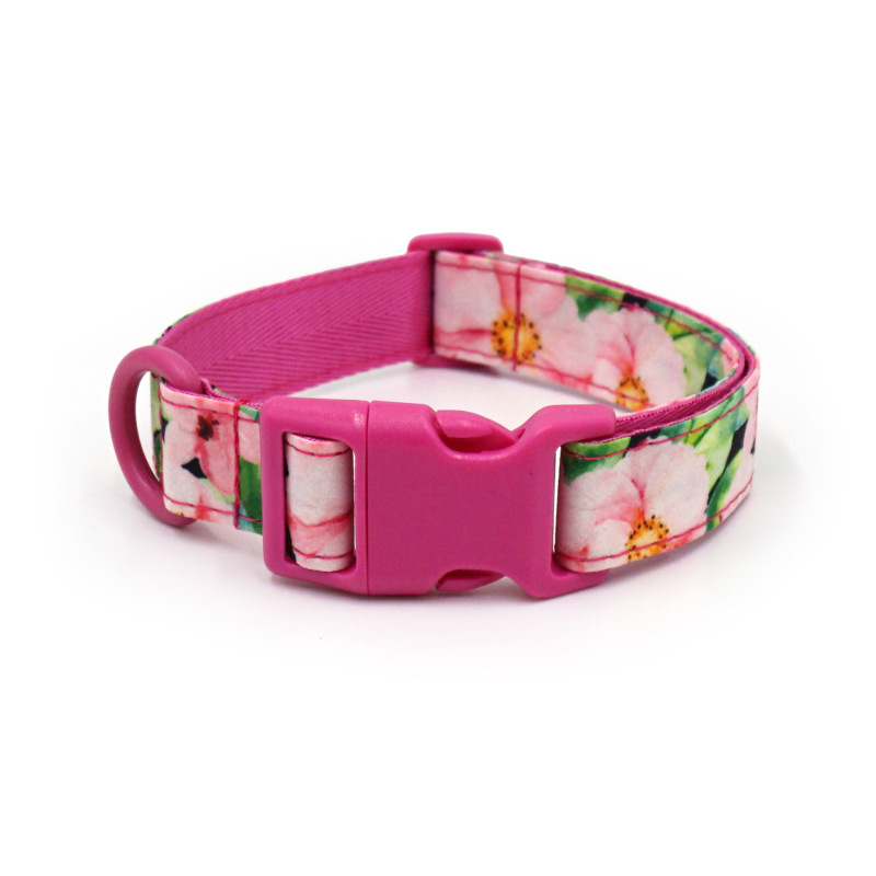 dog collar