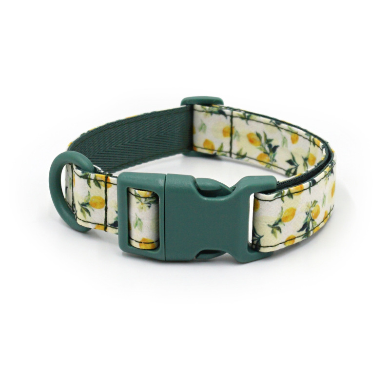 dog collar