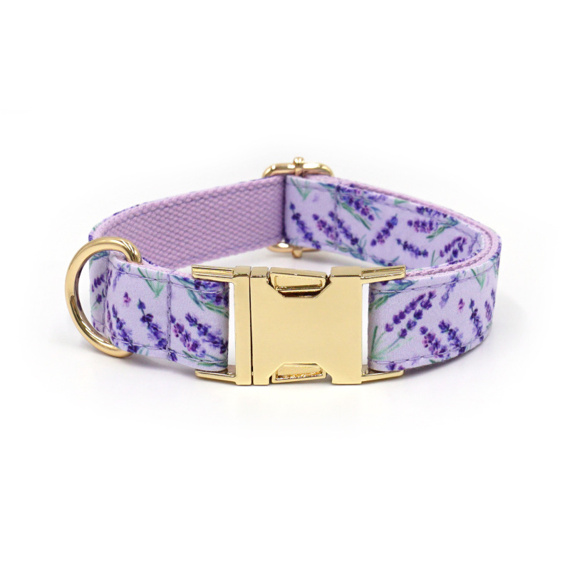 dog collar