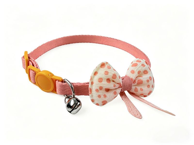 cat collar