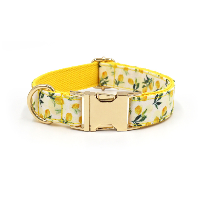 dog collar