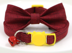 cat collar