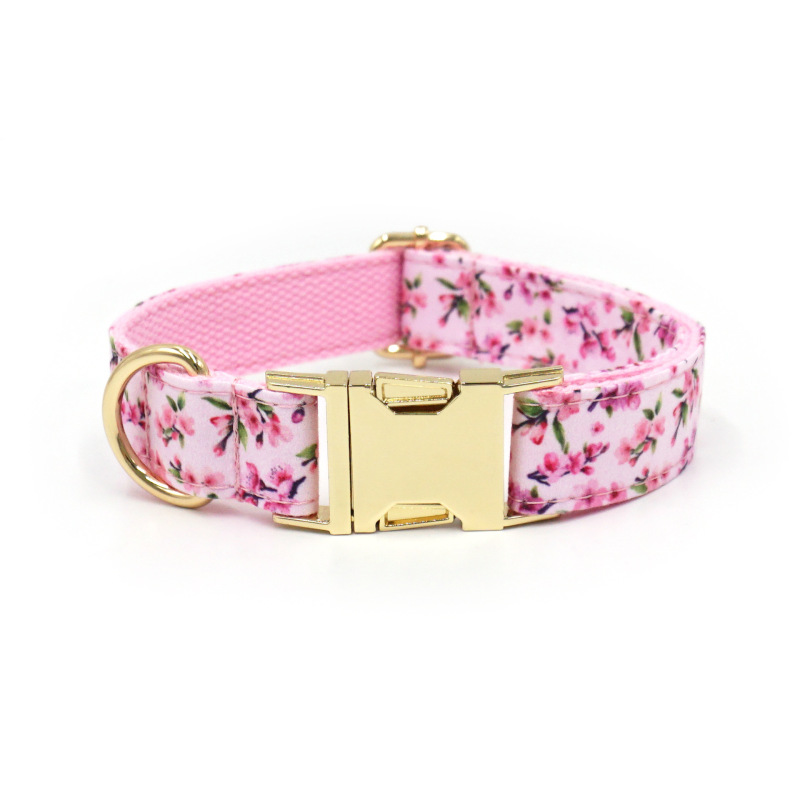 dog collar