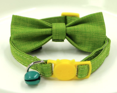 cat collar