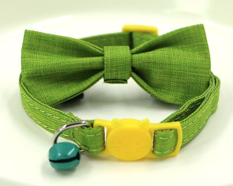 cat collar