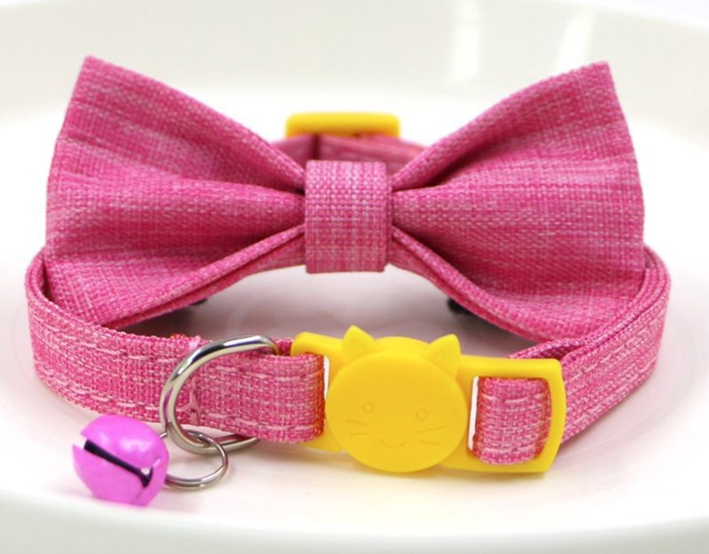 cat collar