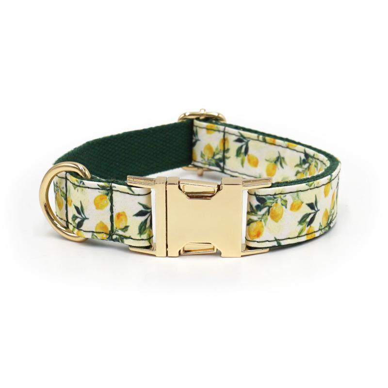 dog collar