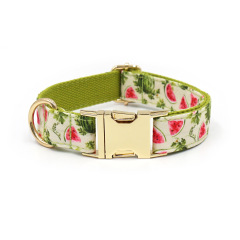 dog collar