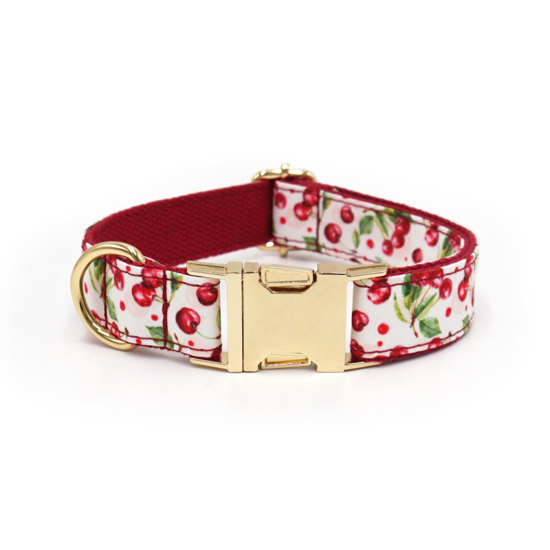 dog collar