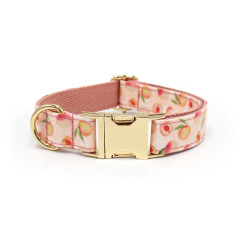 dog collar