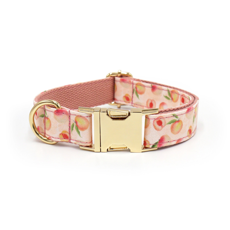 dog collar