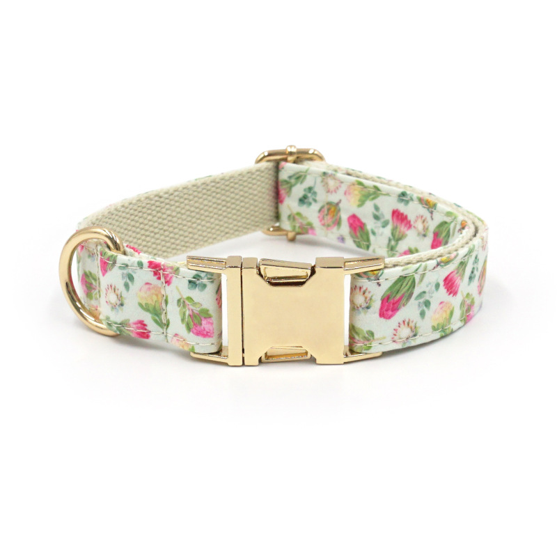 dog collar