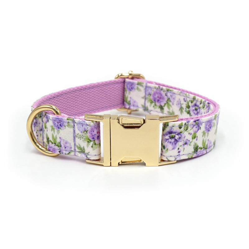 dog collar