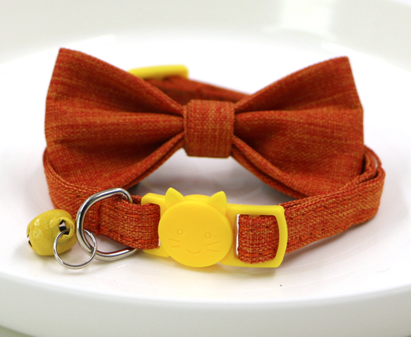 cat collar