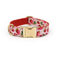 dog collar