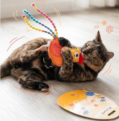 Cat toy