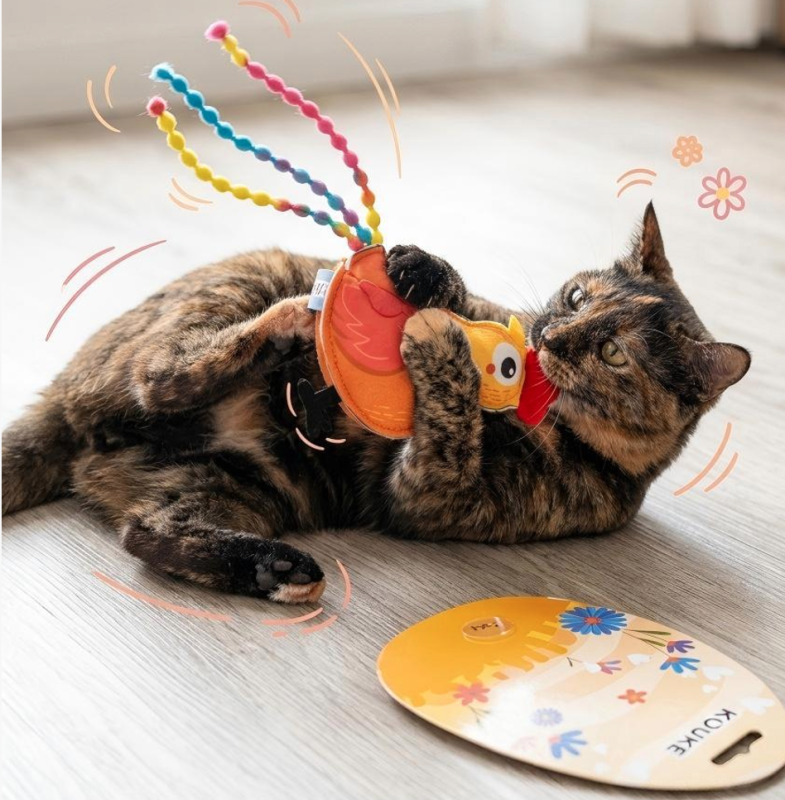 Cat toy