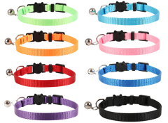 cat collar