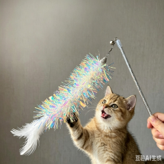 Cat toy