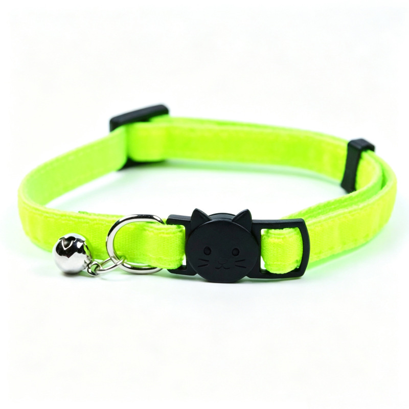 cat collar