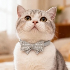 cat collar