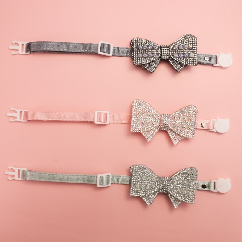 cat collar