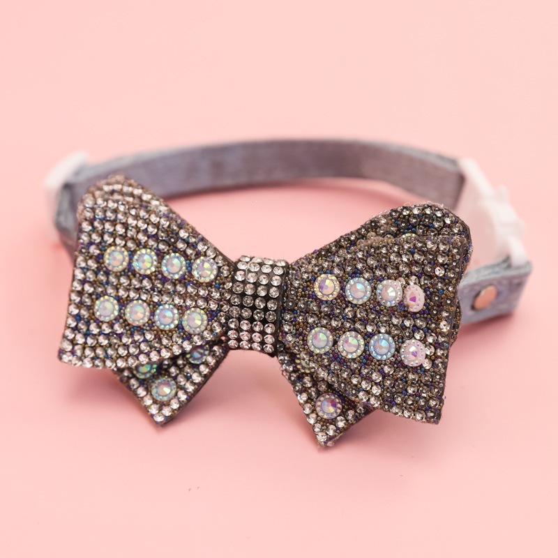 cat collar