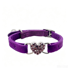 cat collar