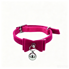 cat collar