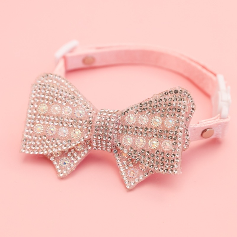 cat collar