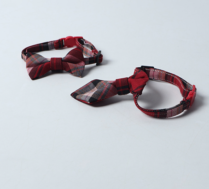 cat collar
