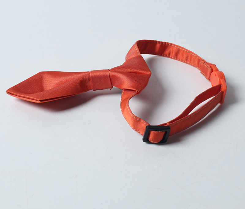 cat collar