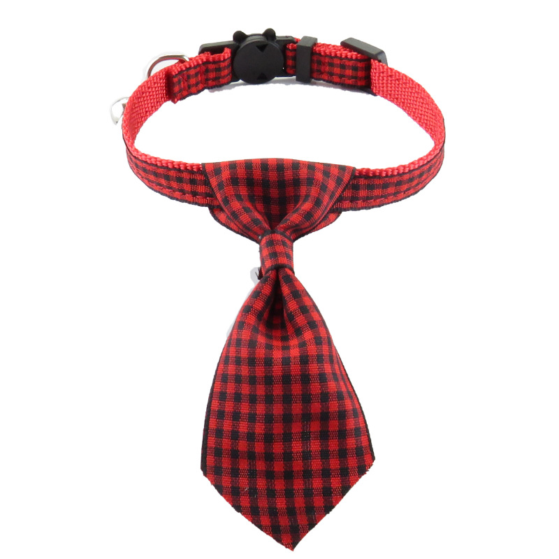 cat collar