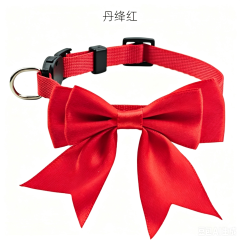 cat collar