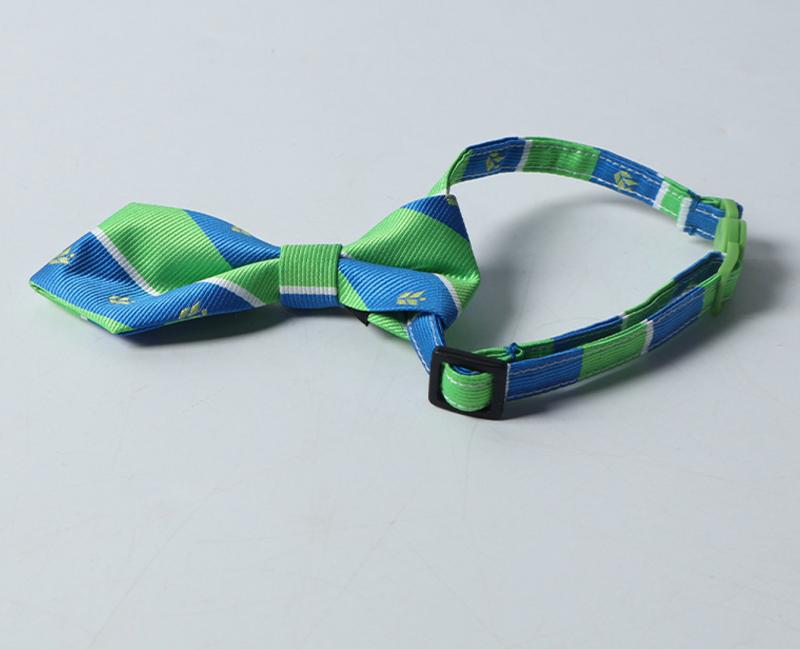 cat collar
