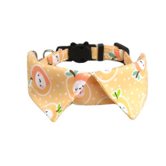 cat collar
