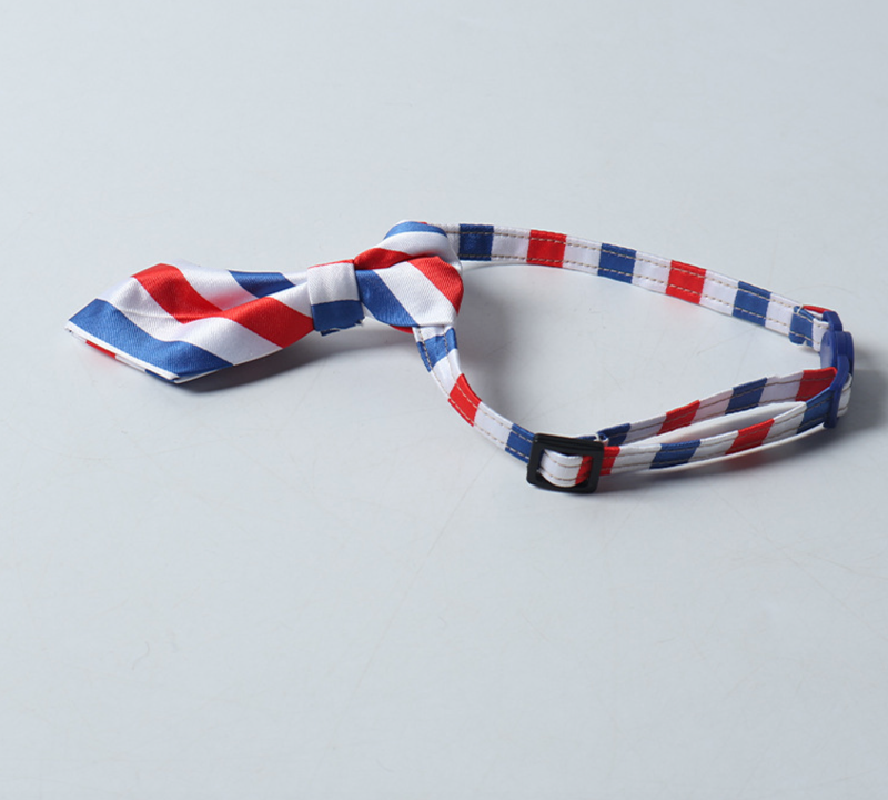 cat collar