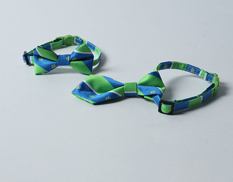 cat collar