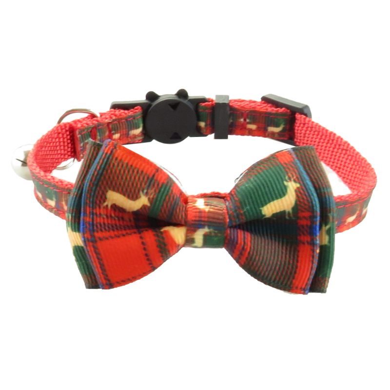 cat collar