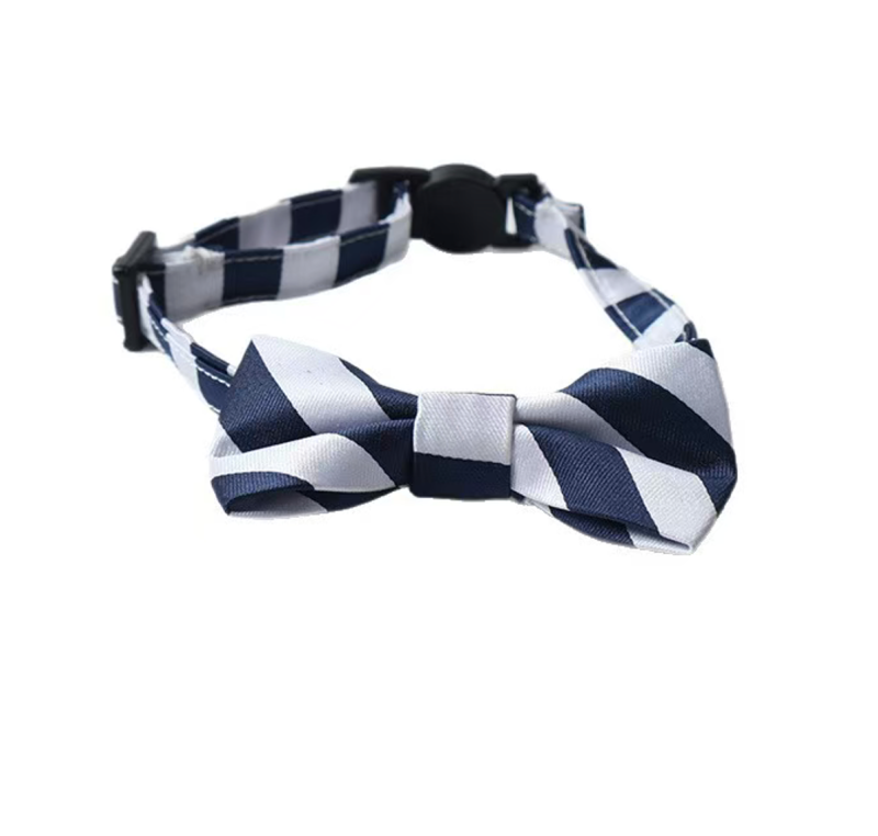 cat collar
