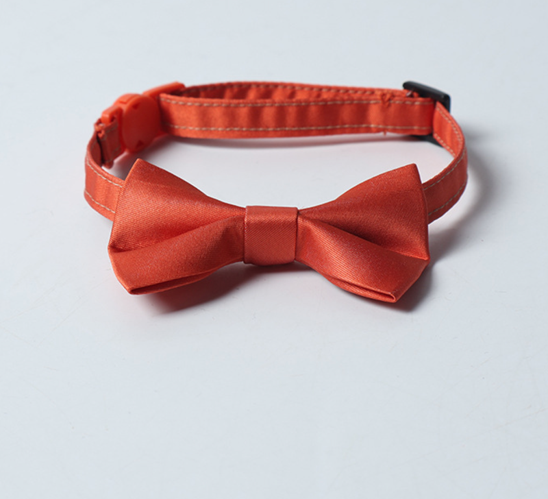 cat collar