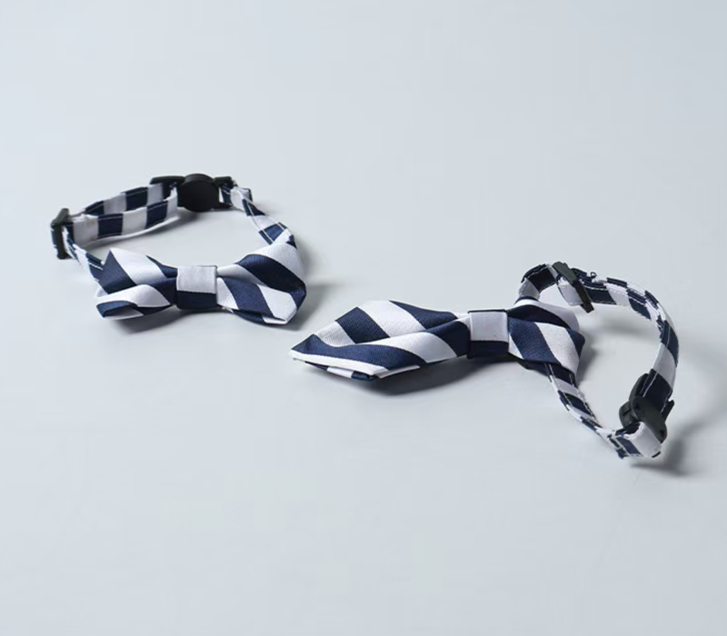 cat collar