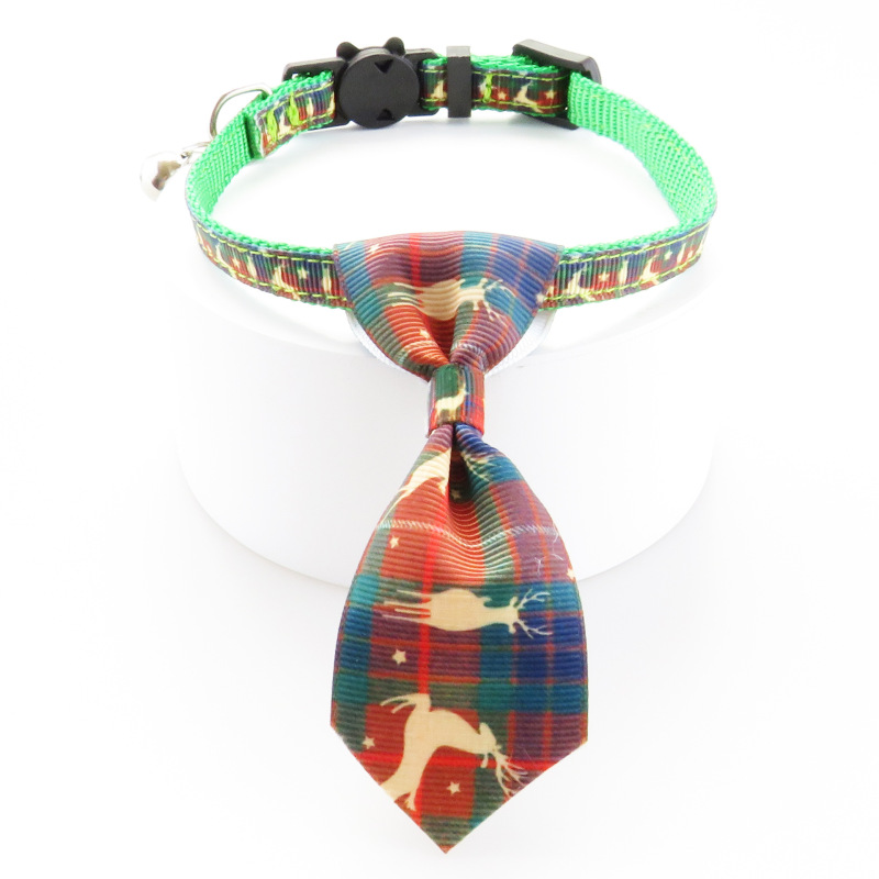 cat collar