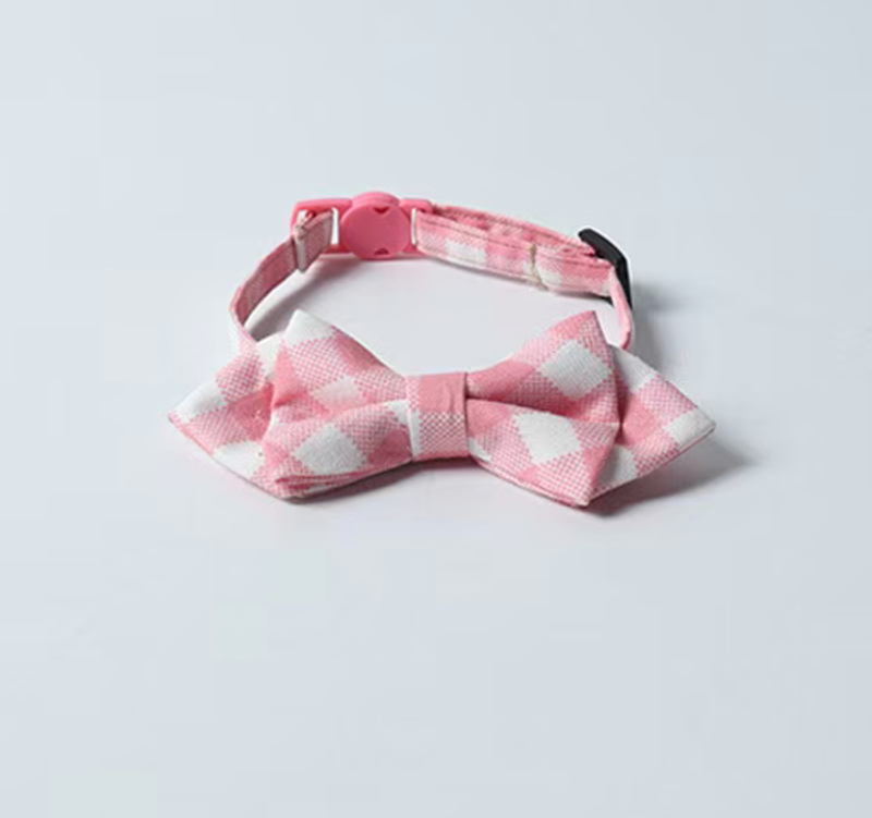 cat collar