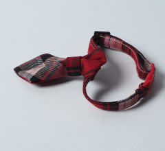 cat collar