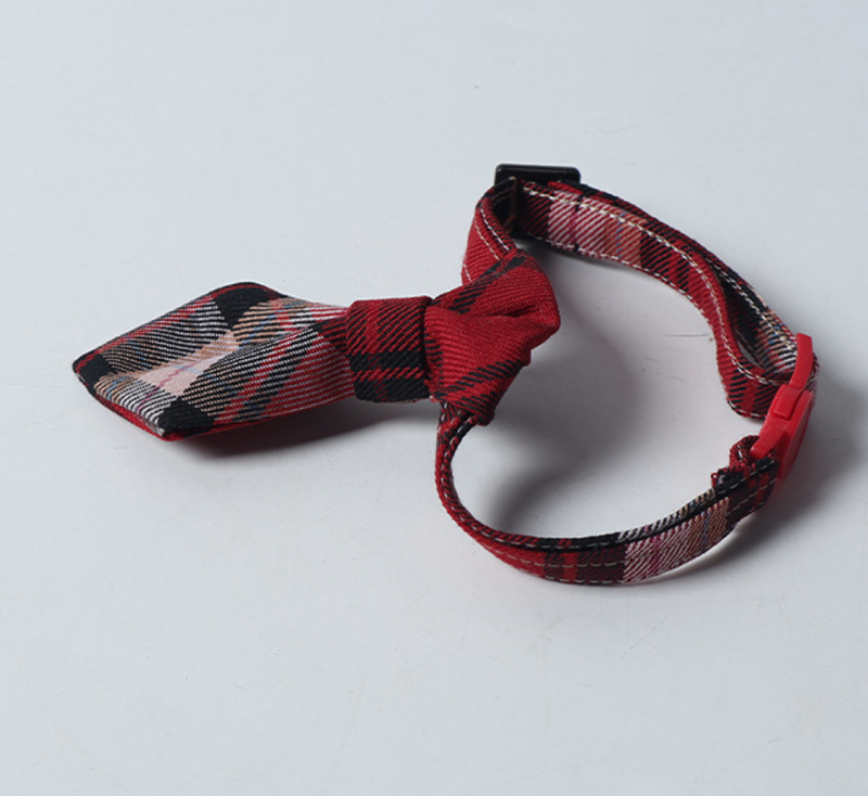cat collar