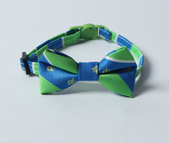 cat collar