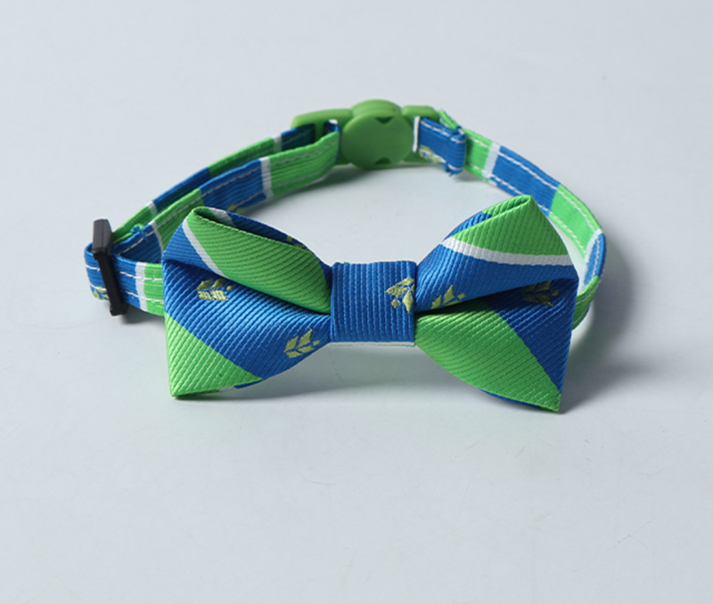 cat collar