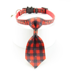 cat collar
